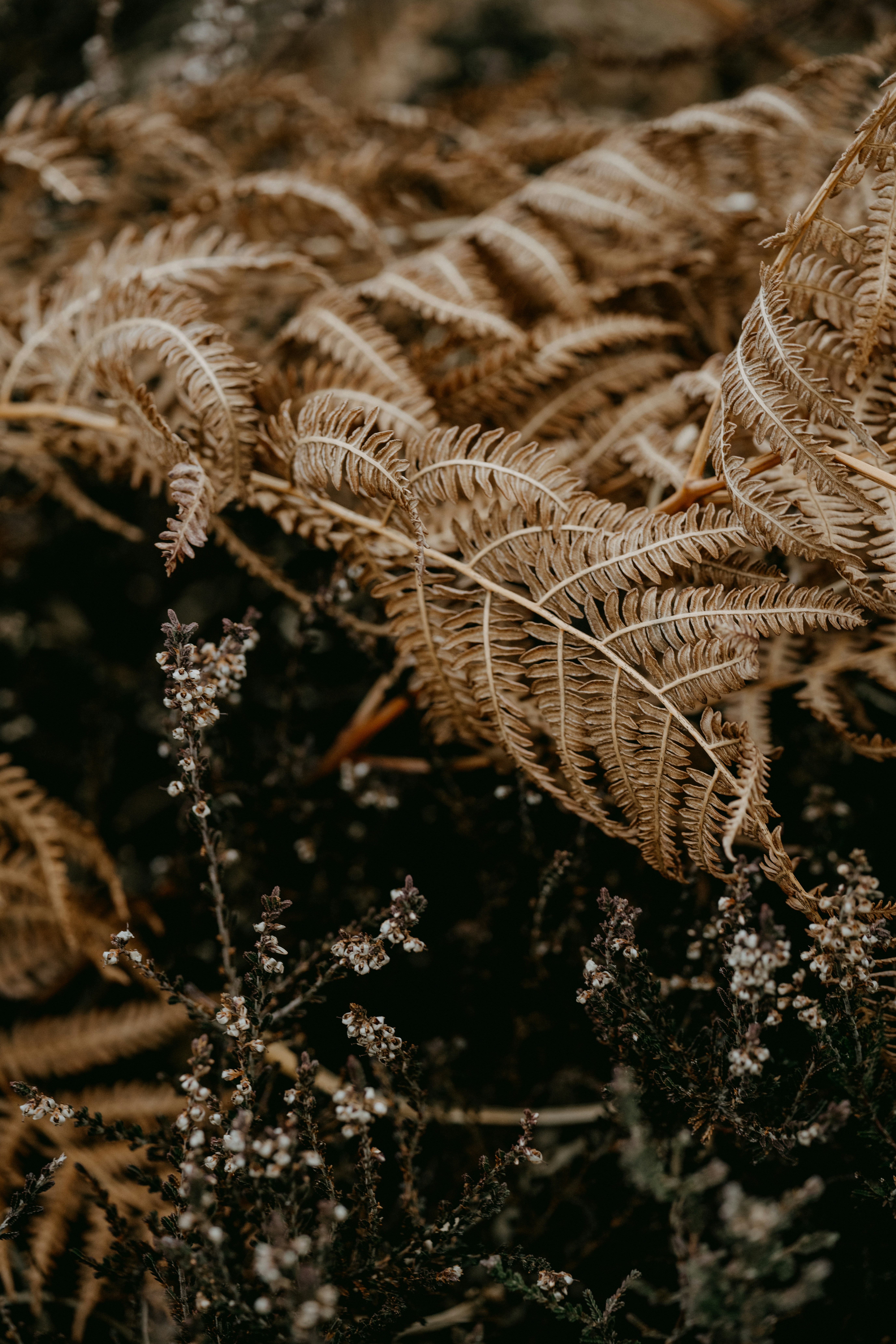 Photo by anniespratt