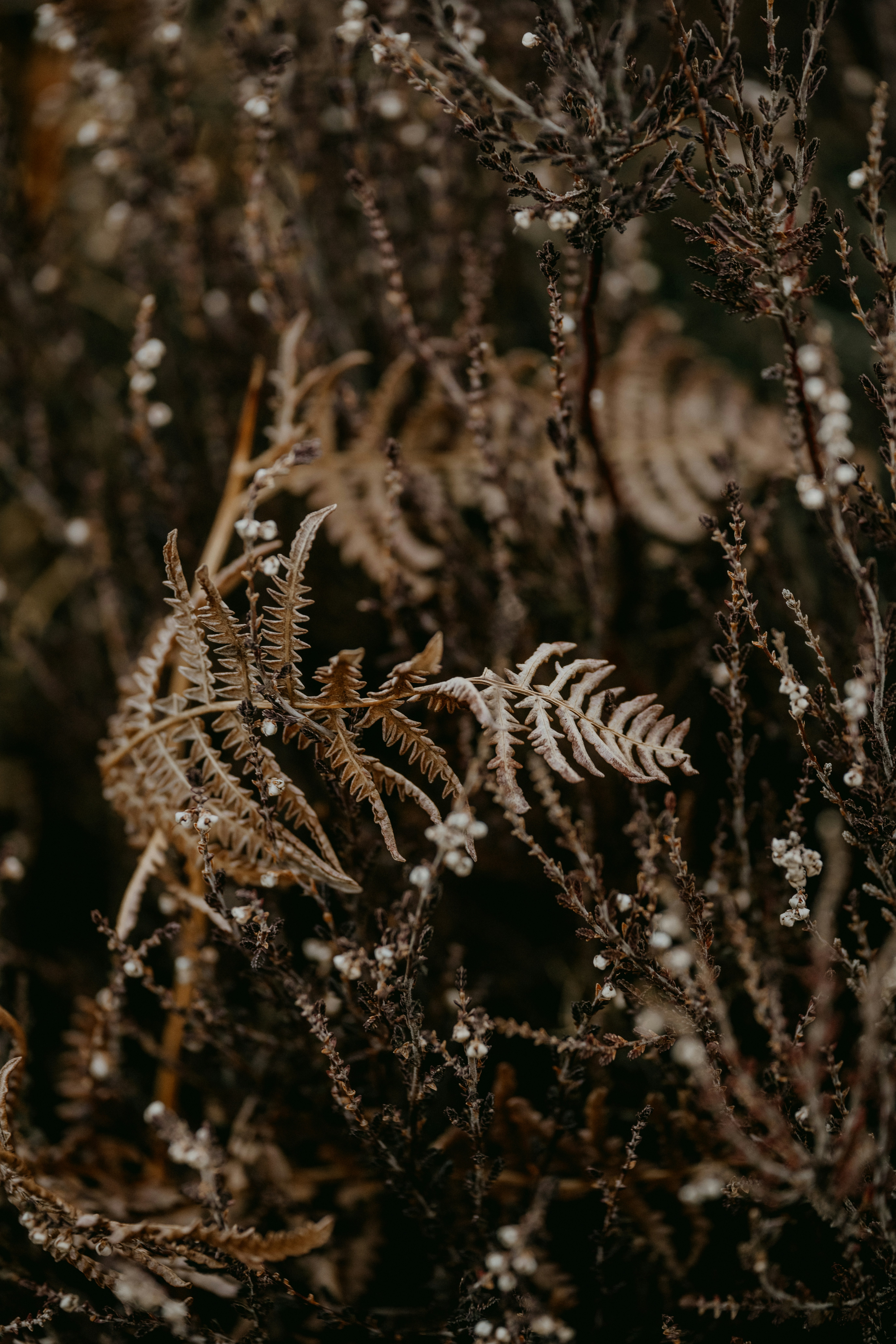 Photo by anniespratt