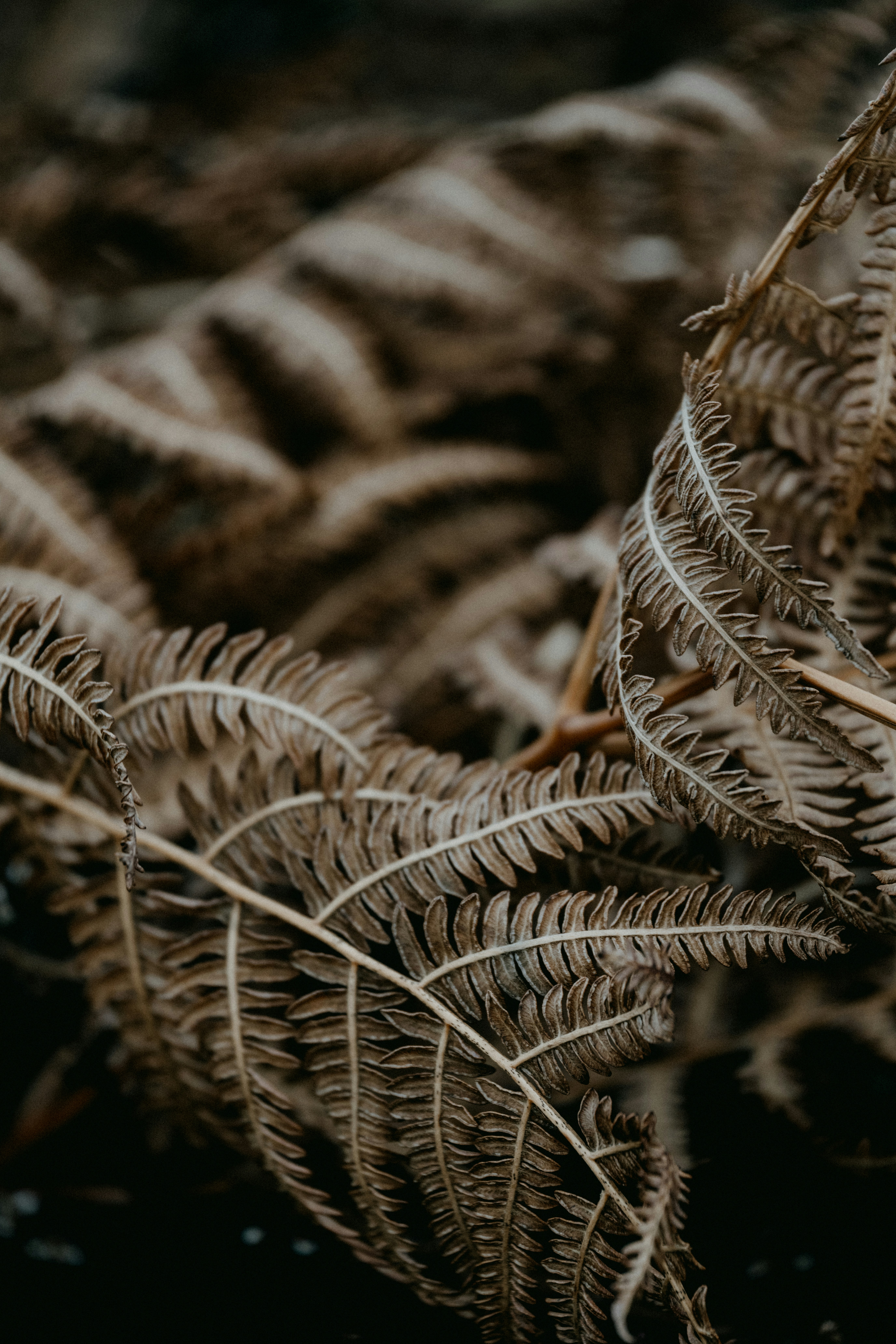 Photo by anniespratt