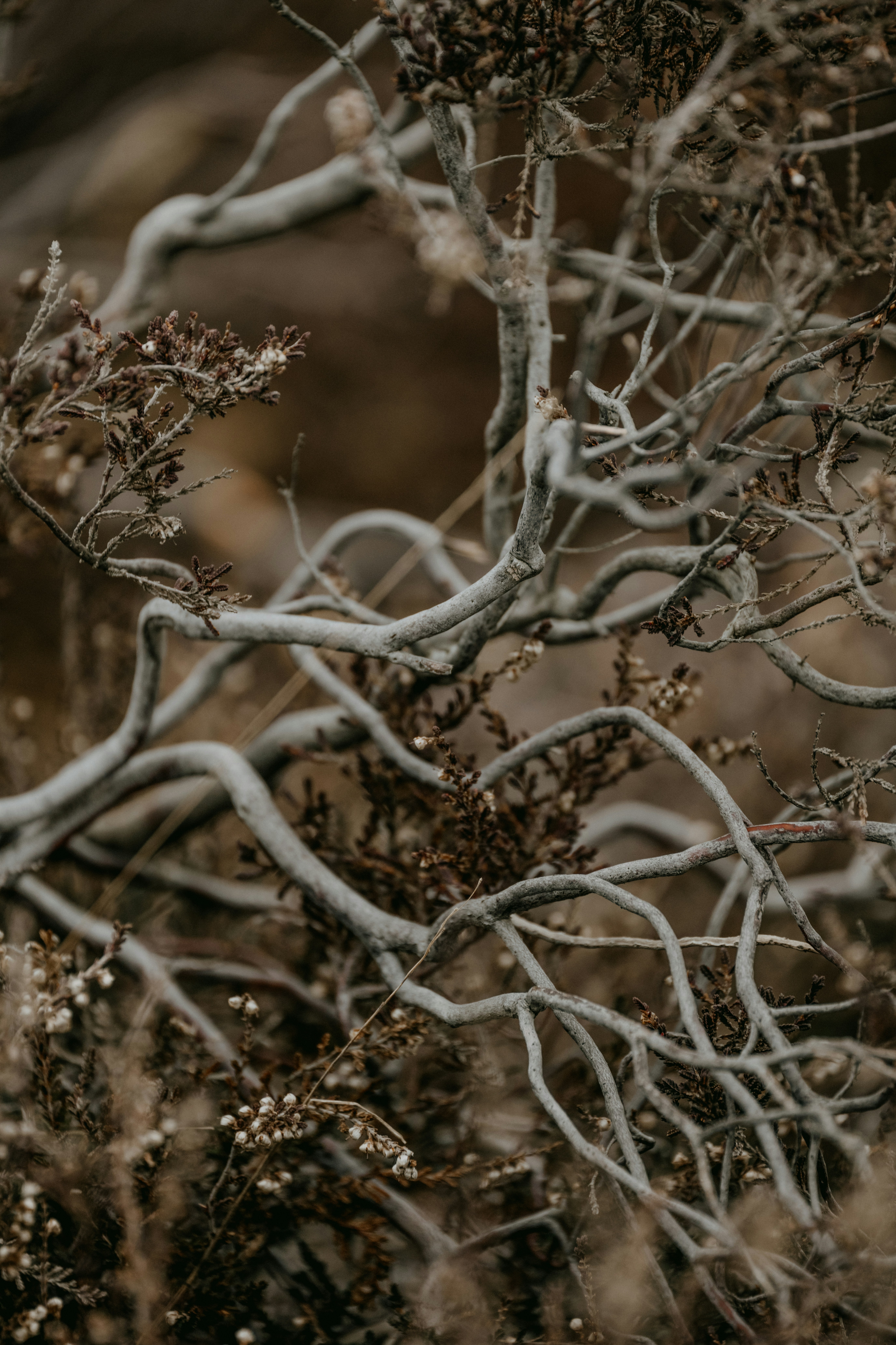 Photo by anniespratt