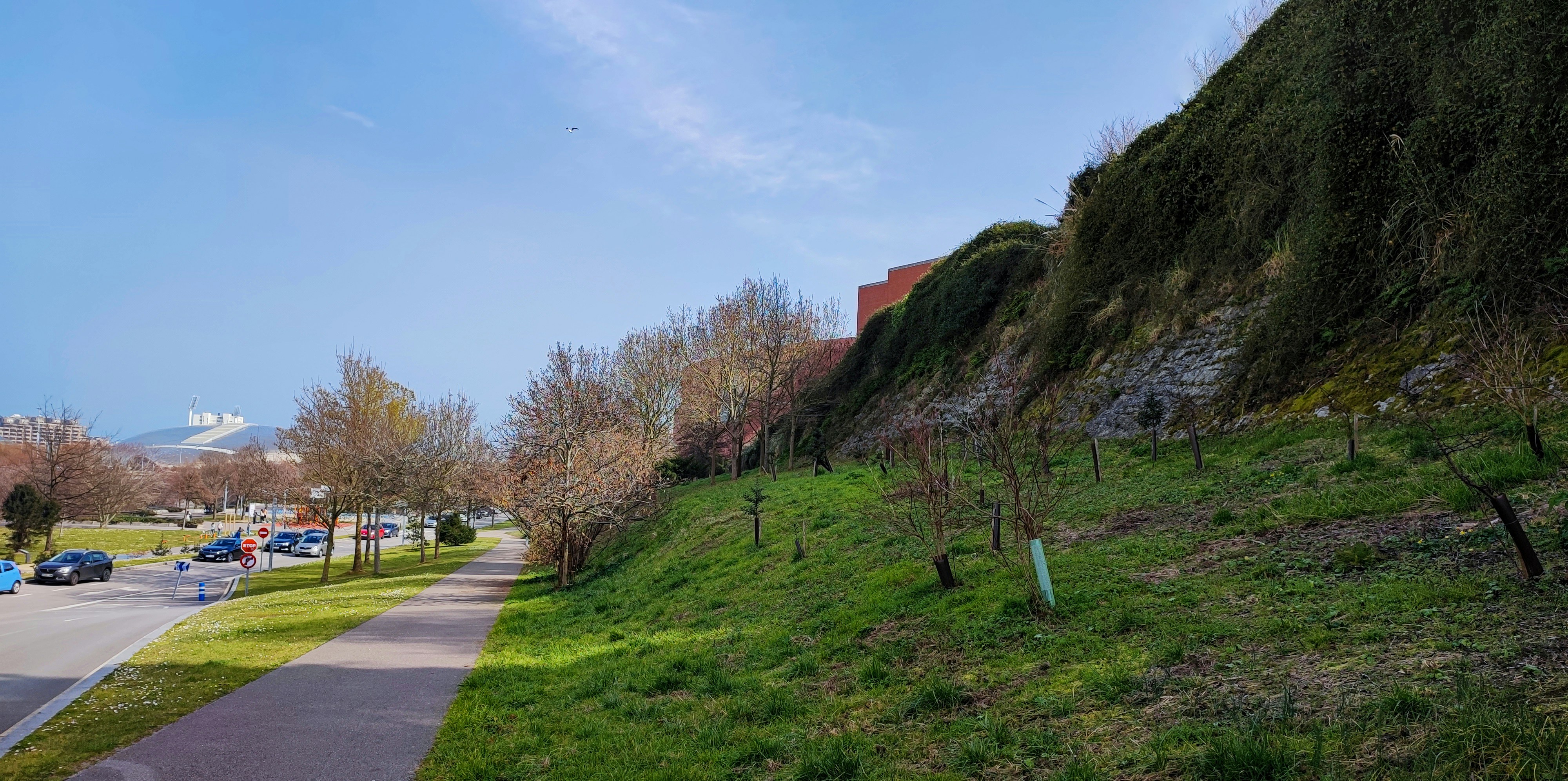 a grassy hill next to a road with cars parked on it