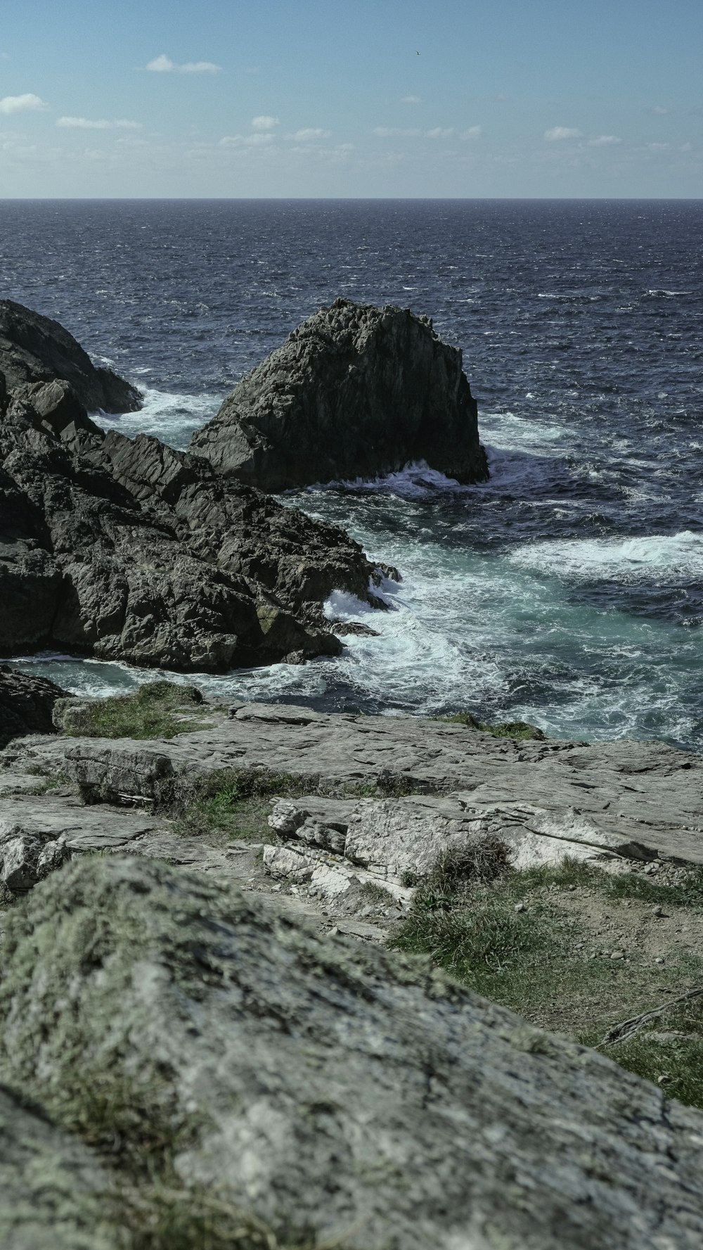 a bird sitting on top of a rock near the ocean