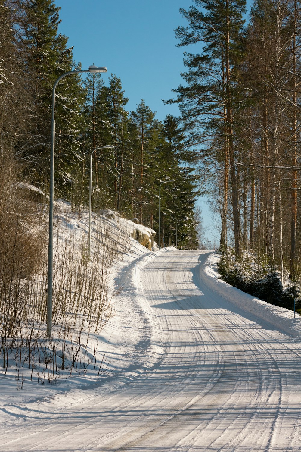 a snowy road in the middle of a forest