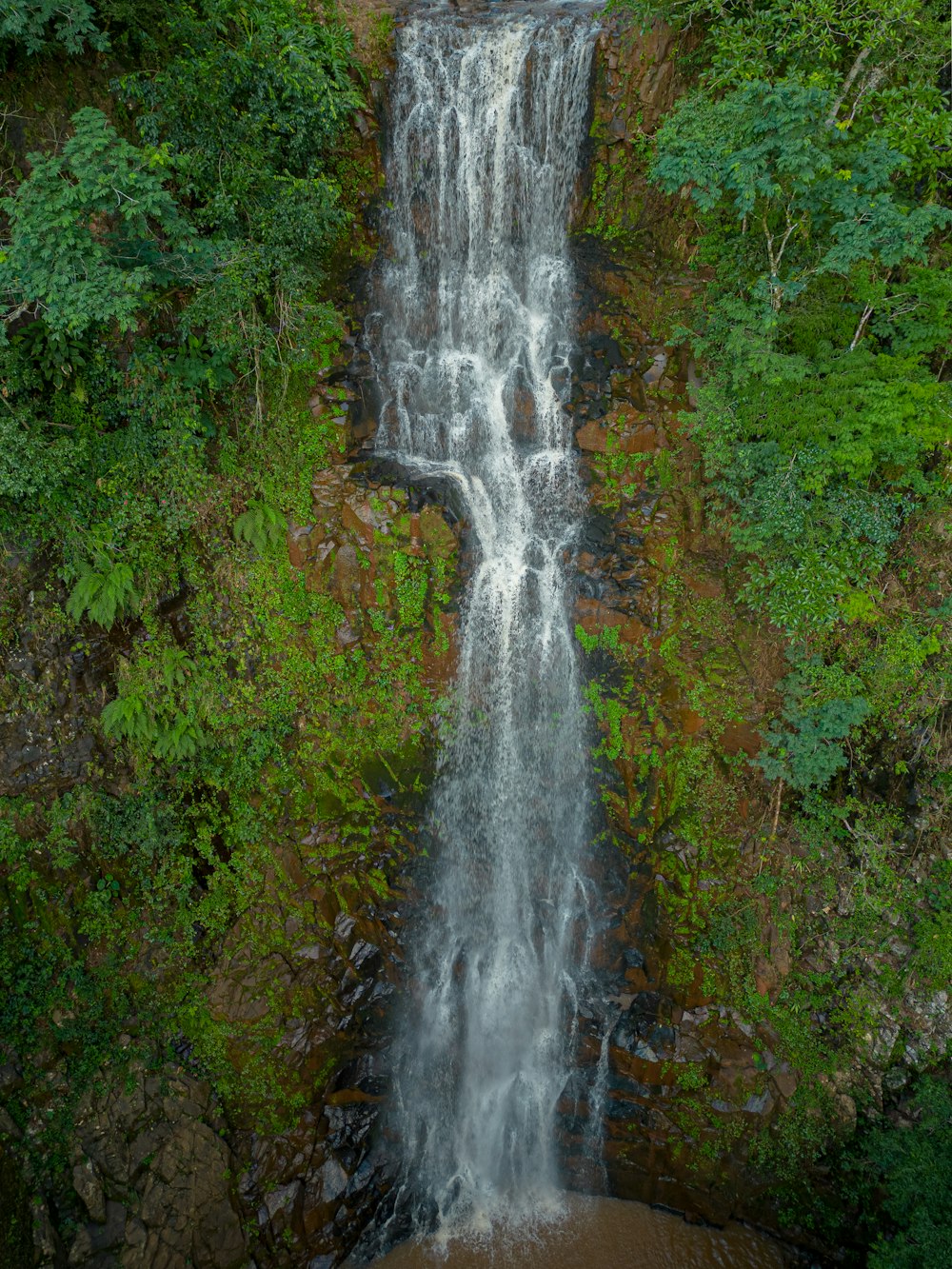 Una cascada en medio de un bosque