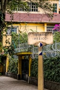 A street sign labeled 'Avenida Mexico' stands in front of a yellow building with a red-tiled roof, surrounded by lush greenery and barbed wire fencing. Vibrant purple flowers and verdant ivy create a rich, natural atmosphere. The scene is framed by trees, adding depth and texture.
