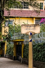A street sign labeled 'Avenida Mexico' stands in front of a yellow building with a red-tiled roof, surrounded by lush greenery and barbed wire fencing. Vibrant purple flowers and verdant ivy create a rich, natural atmosphere. The scene is framed by trees, adding depth and texture.