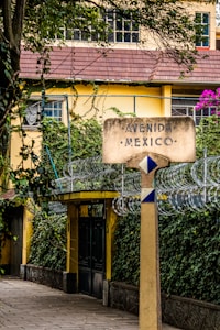 A street sign labeled 'Avenida Mexico' stands in front of a yellow building with a red-tiled roof, surrounded by lush greenery and barbed wire fencing. Vibrant purple flowers and verdant ivy create a rich, natural atmosphere. The scene is framed by trees, adding depth and texture.