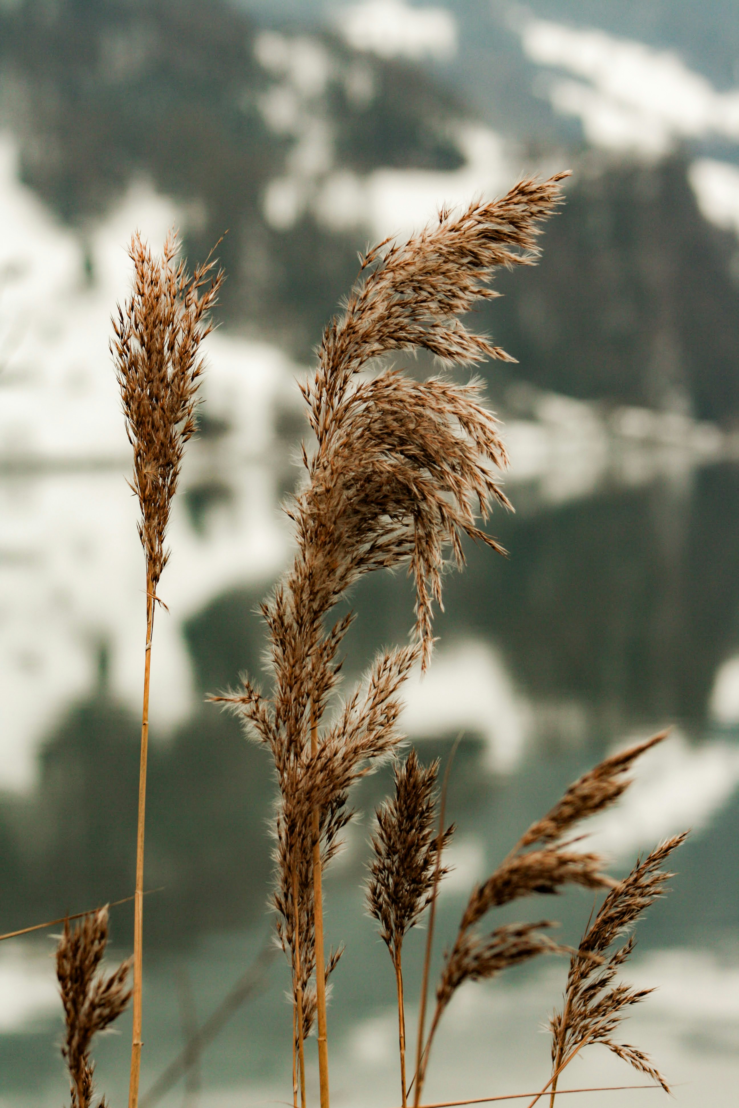 Photo by rosabella_della