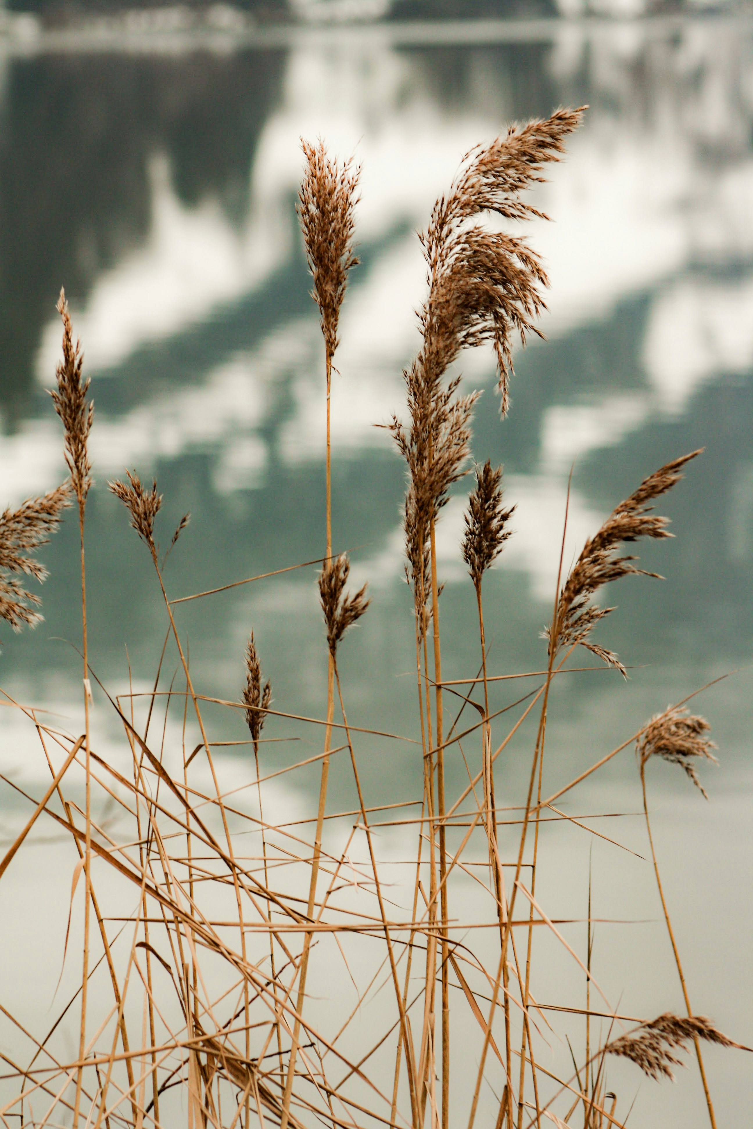 Photo by rosabella_della