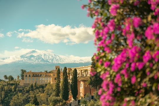 A picturesque landscape featuring a snow-capped mountain in the background. In the foreground, vibrant pink bougainvillea flowers dominate the right side, contrasting with the warmth of the architecture nestled among lush greenery. Several cypress trees and palm trees add to the Mediterranean feel of the scene.