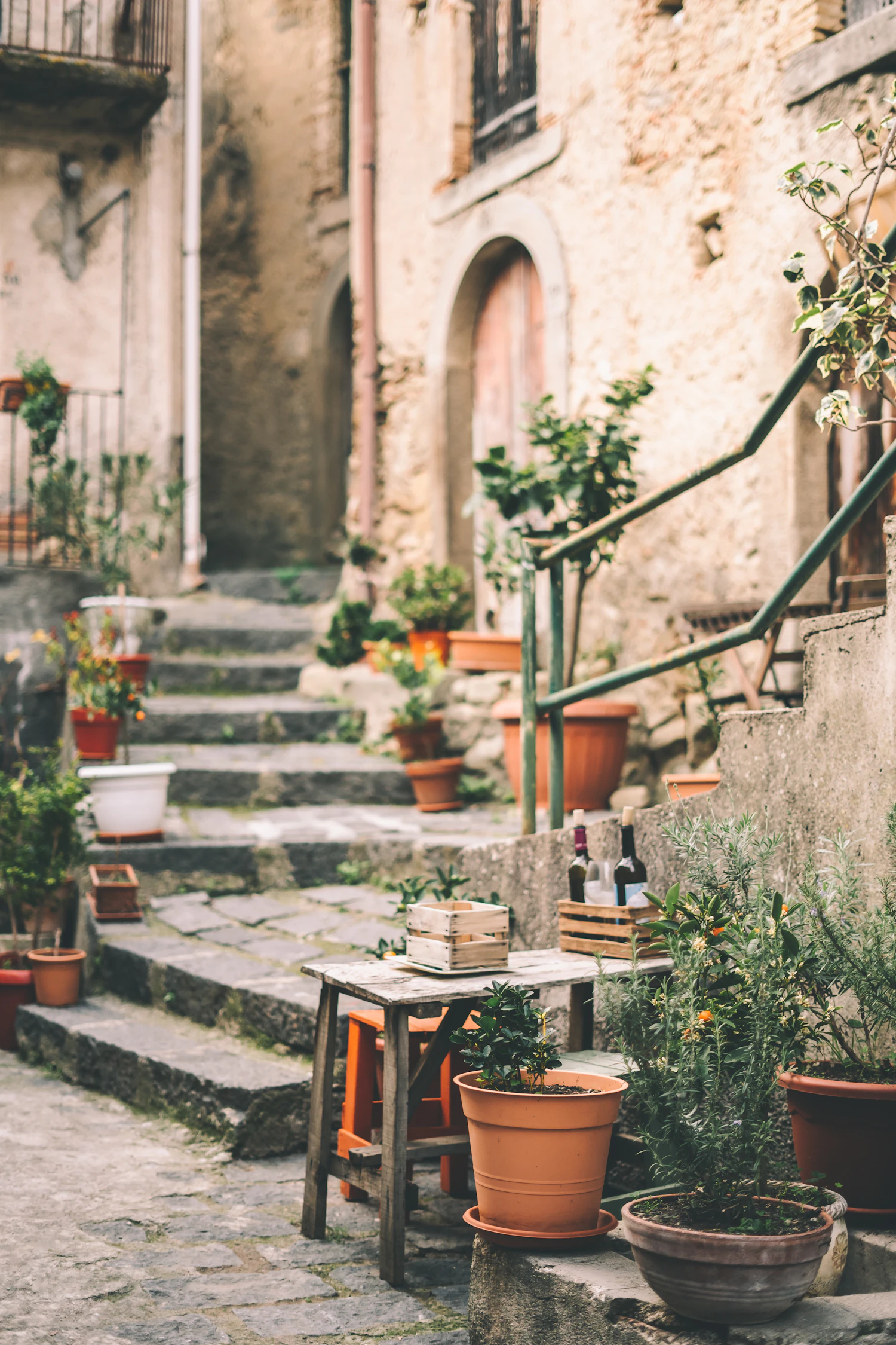 Worn stone steps lined on both sides with terracotta pots of herbs