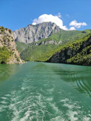 A serene view of the Himalayas with a winding river and lush green forests under a clear blue sky.