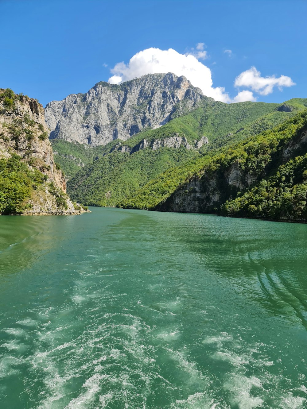 Una vista de un río con montañas al fondo