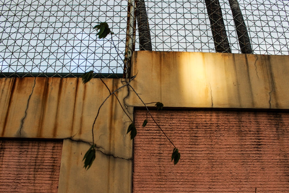 a bird is perched on the side of a building