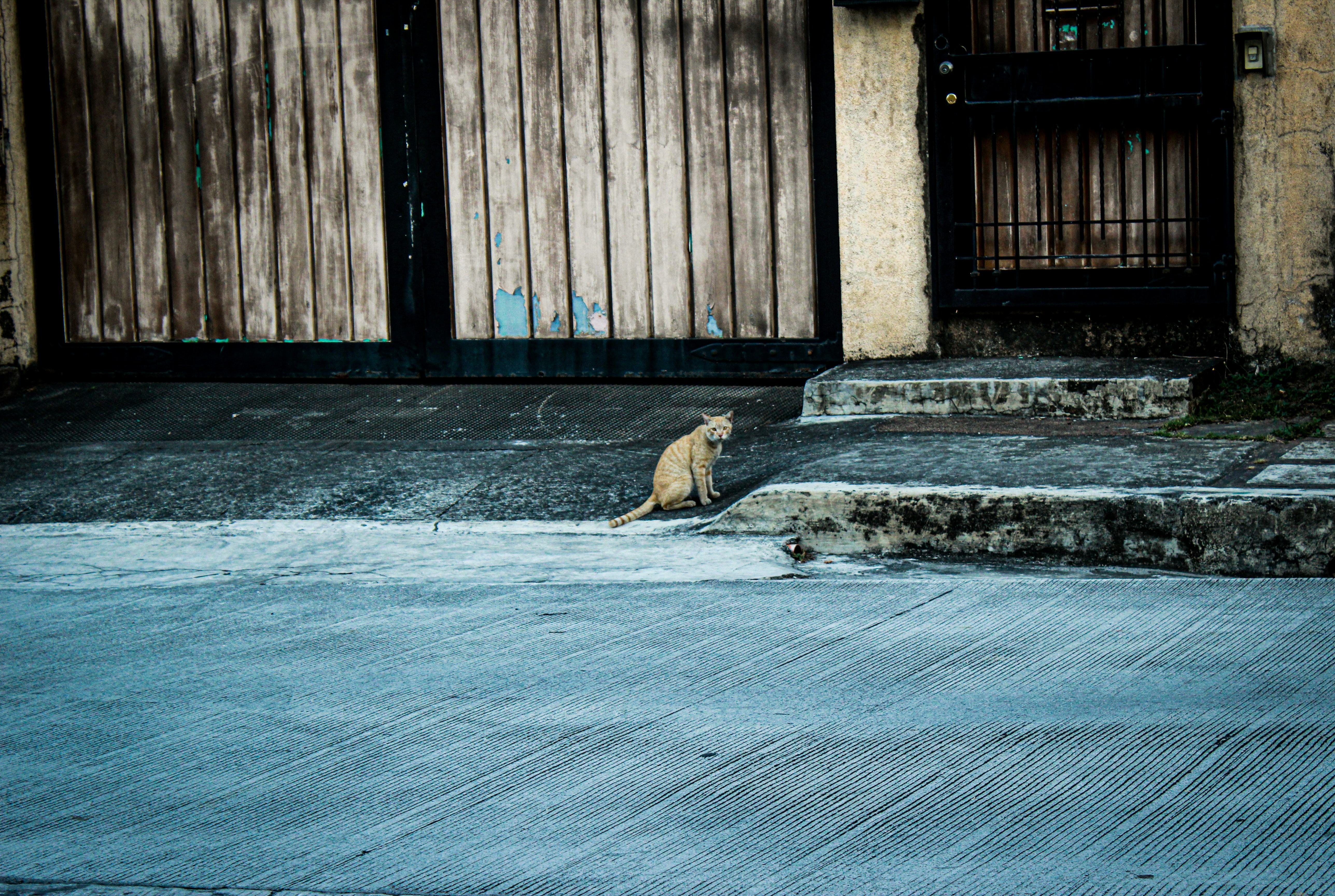 Photo by myboholifeph