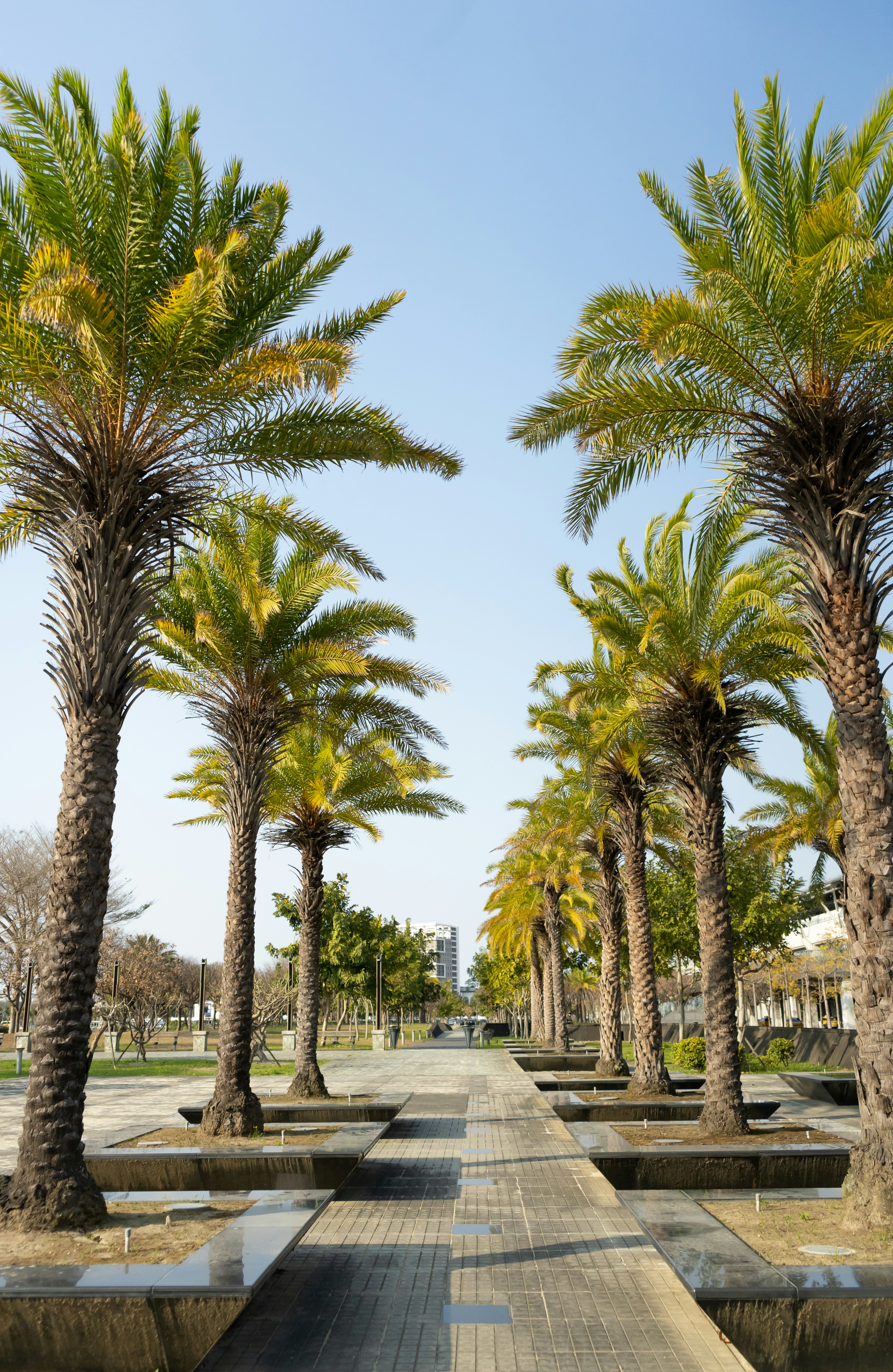 Photo by harrisonchang