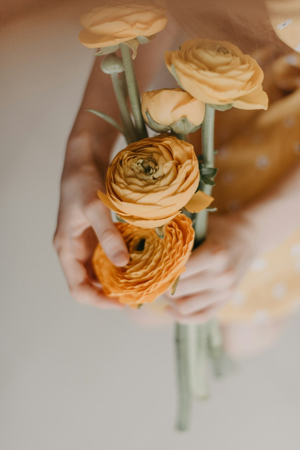 a close up of a person holding a bouquet of flowers