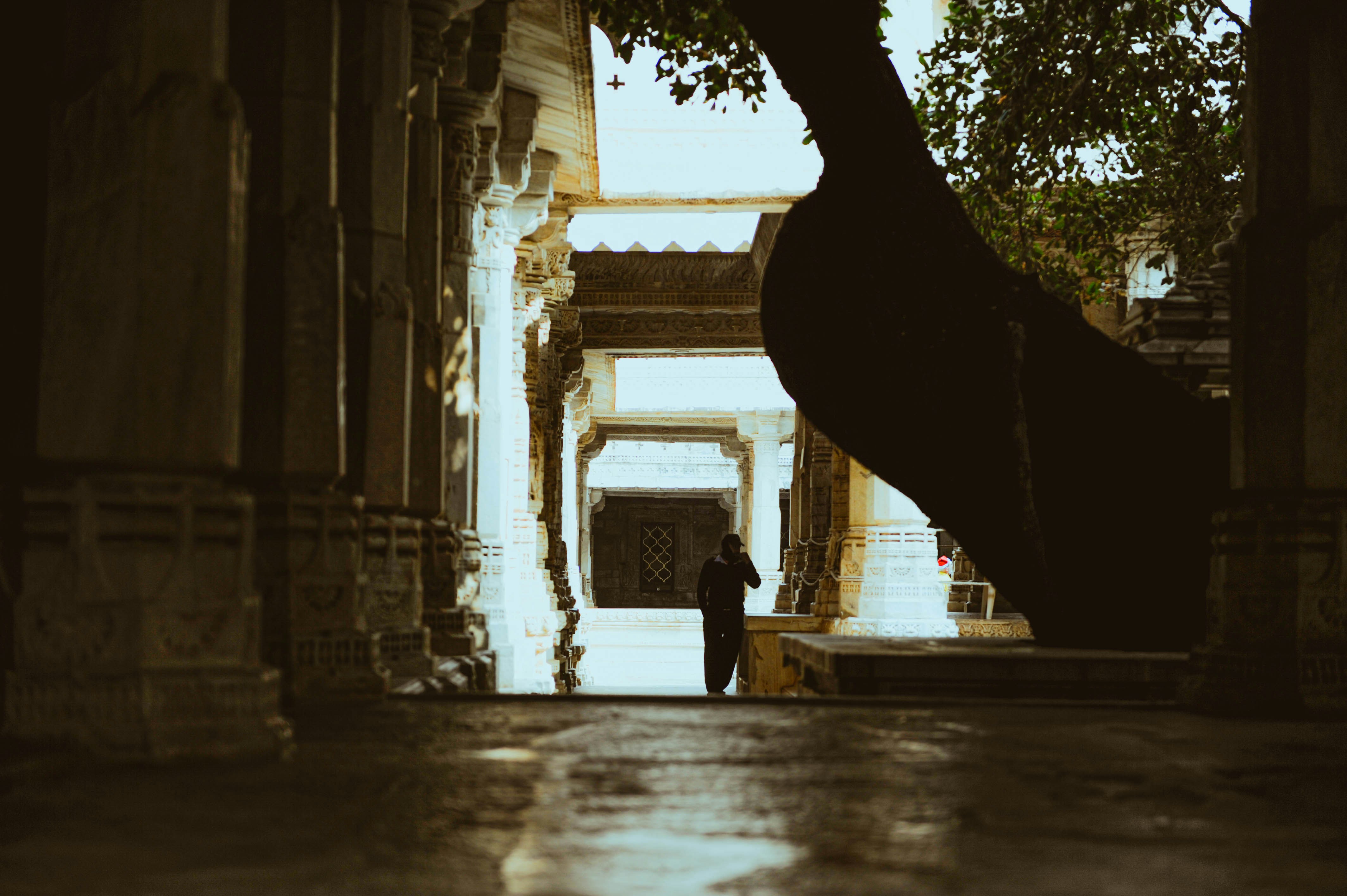 Photo by danielstiel