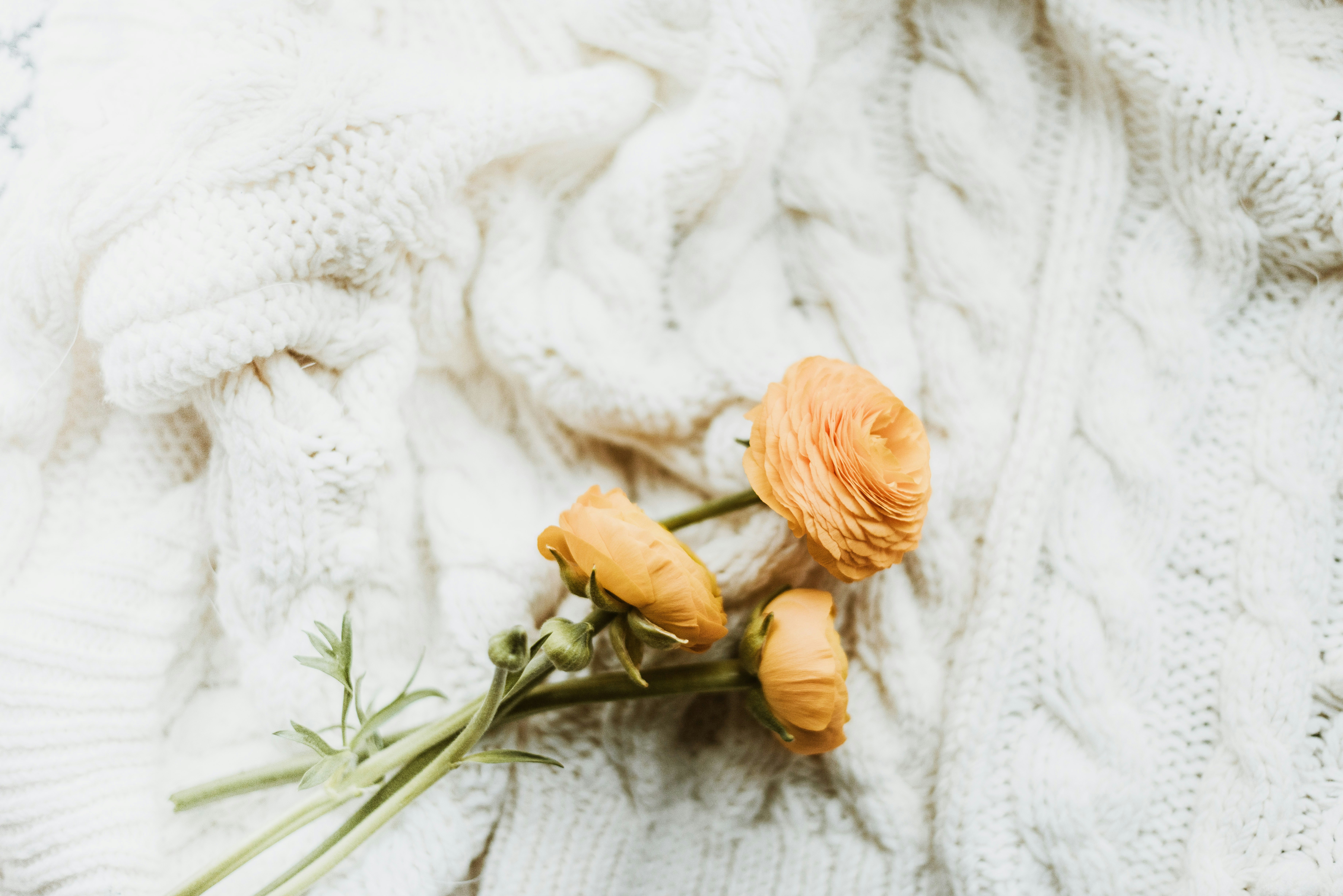 Photo by anitaaustvika