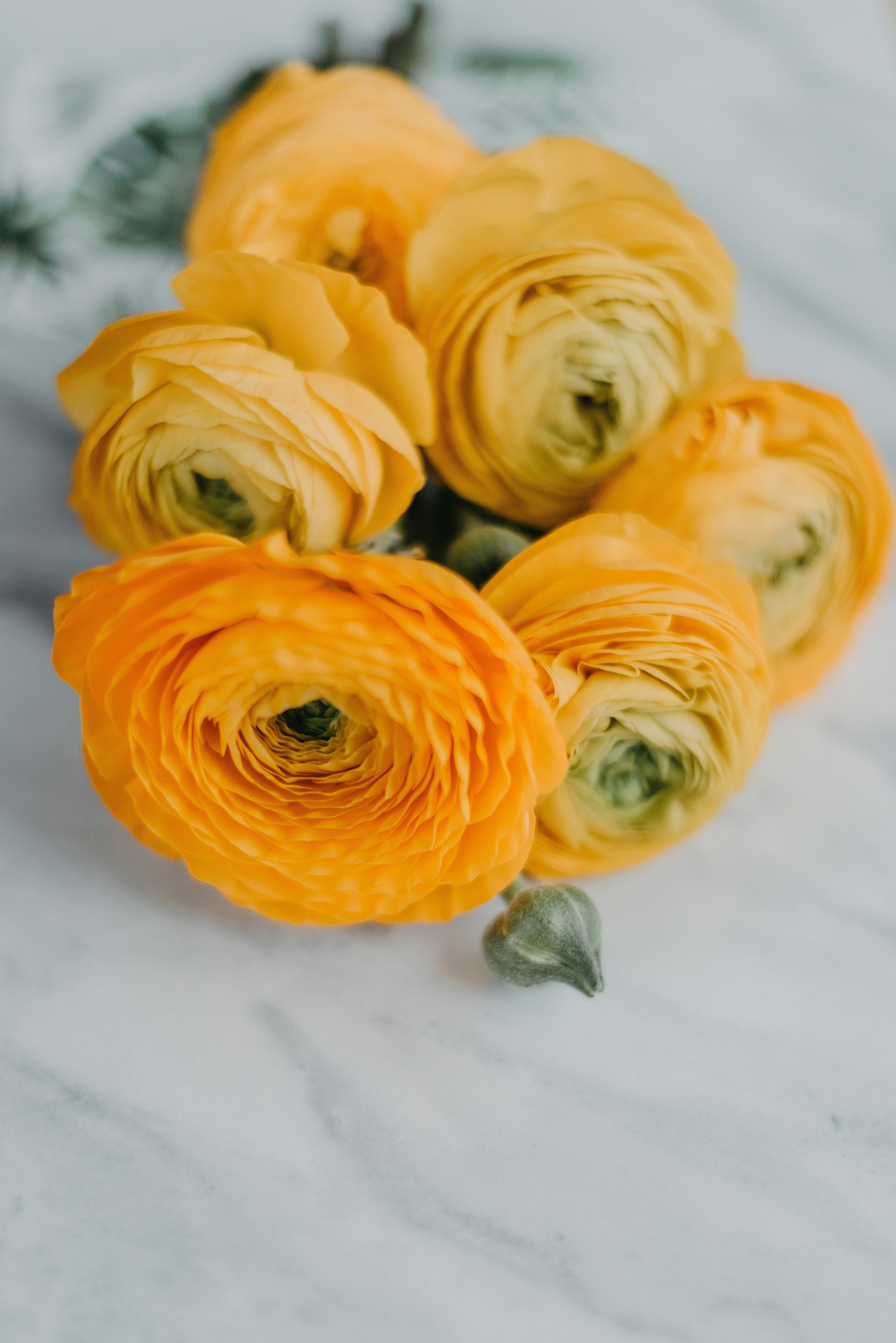 Photo by anitaaustvika