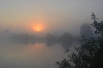 A serene sunrise over a misty lake with soft golden light reflecting on the water