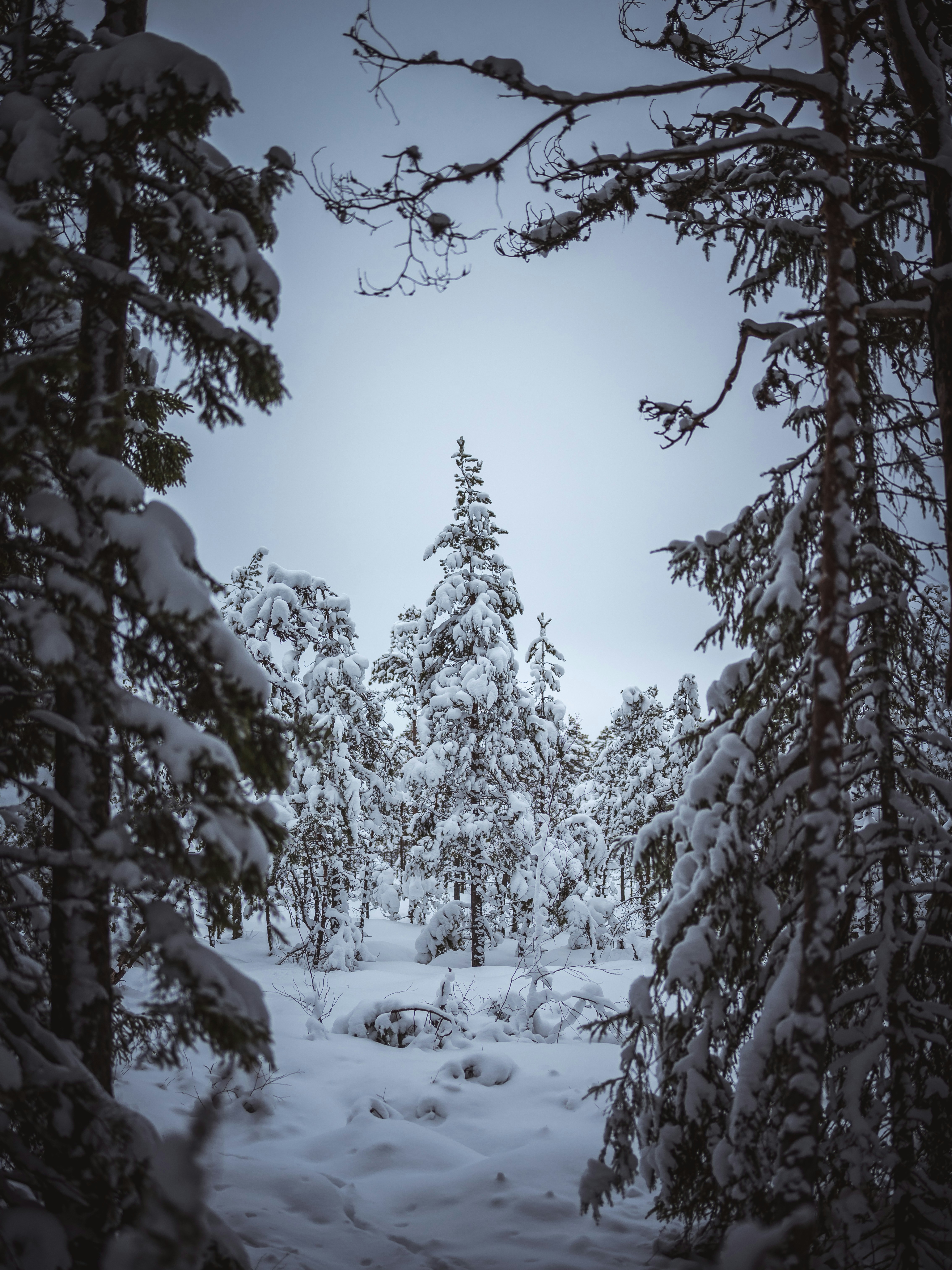 Photo by janekvaldsalu