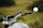 Close-up of black phone mount clipped securely on a motorcycle handlebar with a clear phone screen.