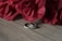 A pair of intertwined silver rings with small embedded gems is placed on a wooden surface. Above the rings, a bouquet of red roses provides a striking contrast with its rich color.
