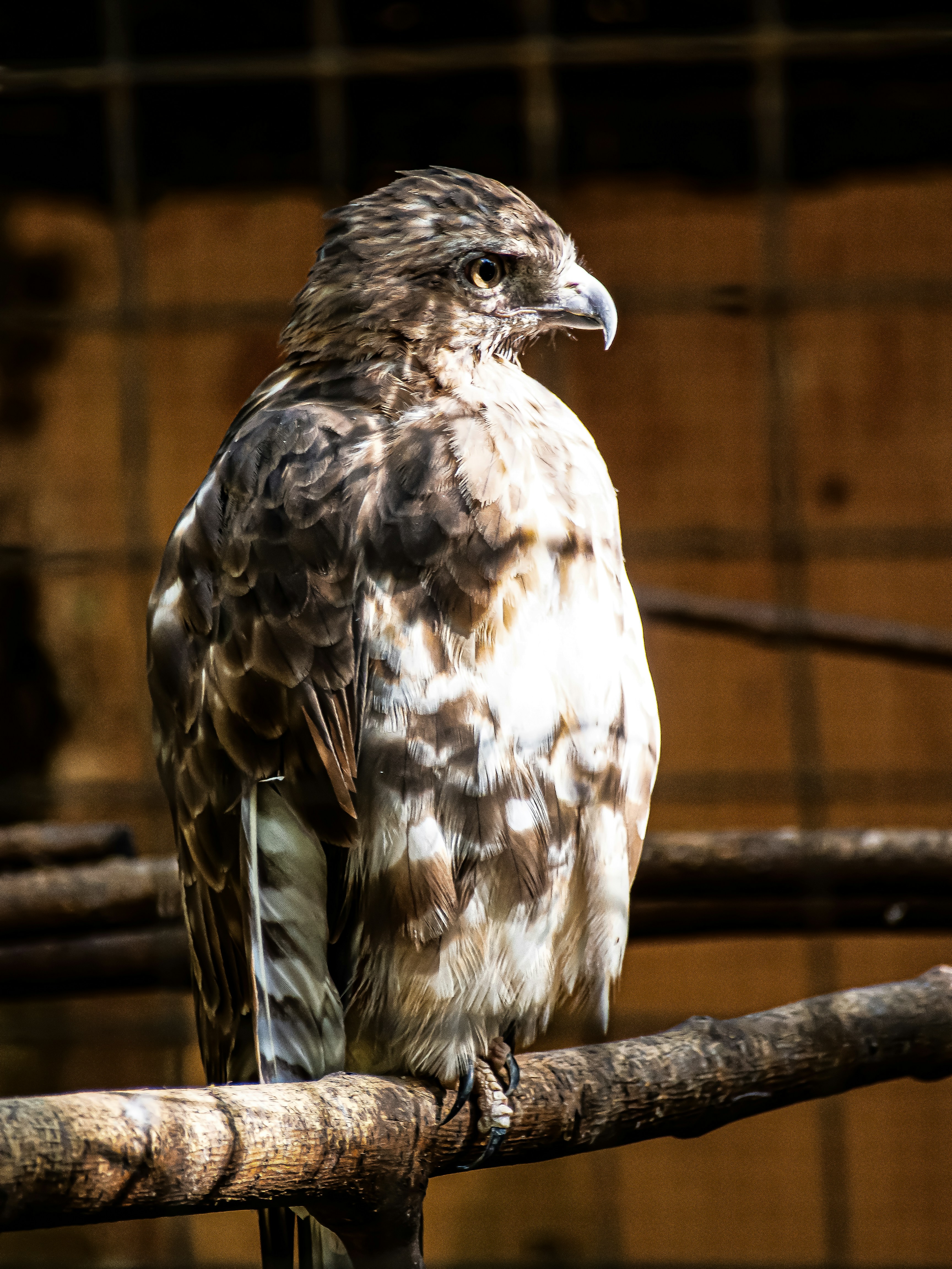 Photo by alekseyryan