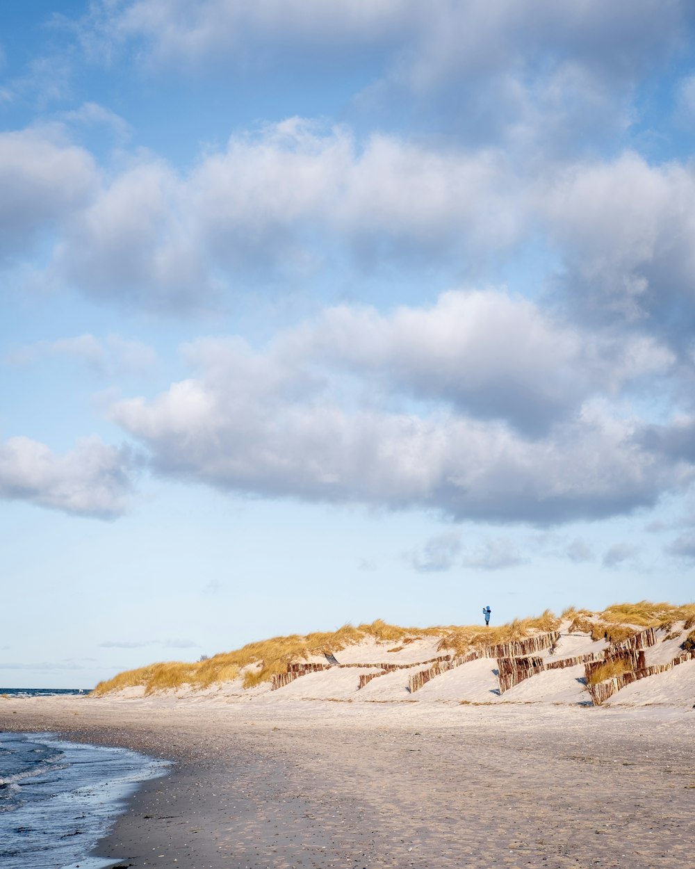 a person standing on a sandy beach next to the ocean