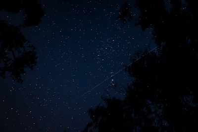 A mystical scene of a night sky with shooting stars and faint zodiac signs.