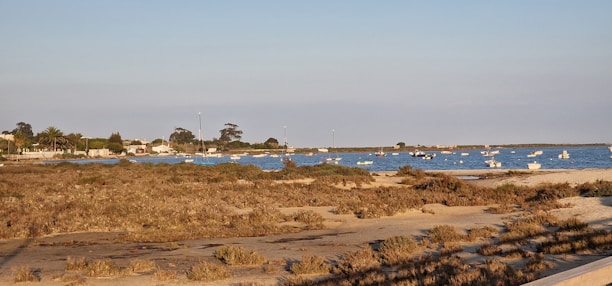A serene view of the Ebro Delta with boats docked near sandy shores and lush wetlands.