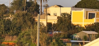 A landscape depicting a residential area with buildings partially obscured by lush greenery. A yellow and white two-story house stands out prominently among the trees. In the foreground, a shed and various tropical plants are visible.