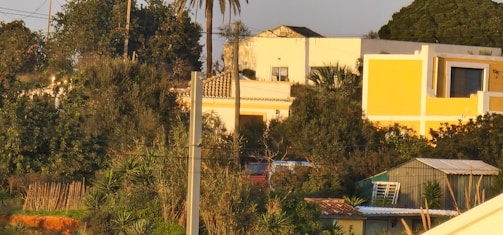A landscape depicting a residential area with buildings partially obscured by lush greenery. A yellow and white two-story house stands out prominently among the trees. In the foreground, a shed and various tropical plants are visible.