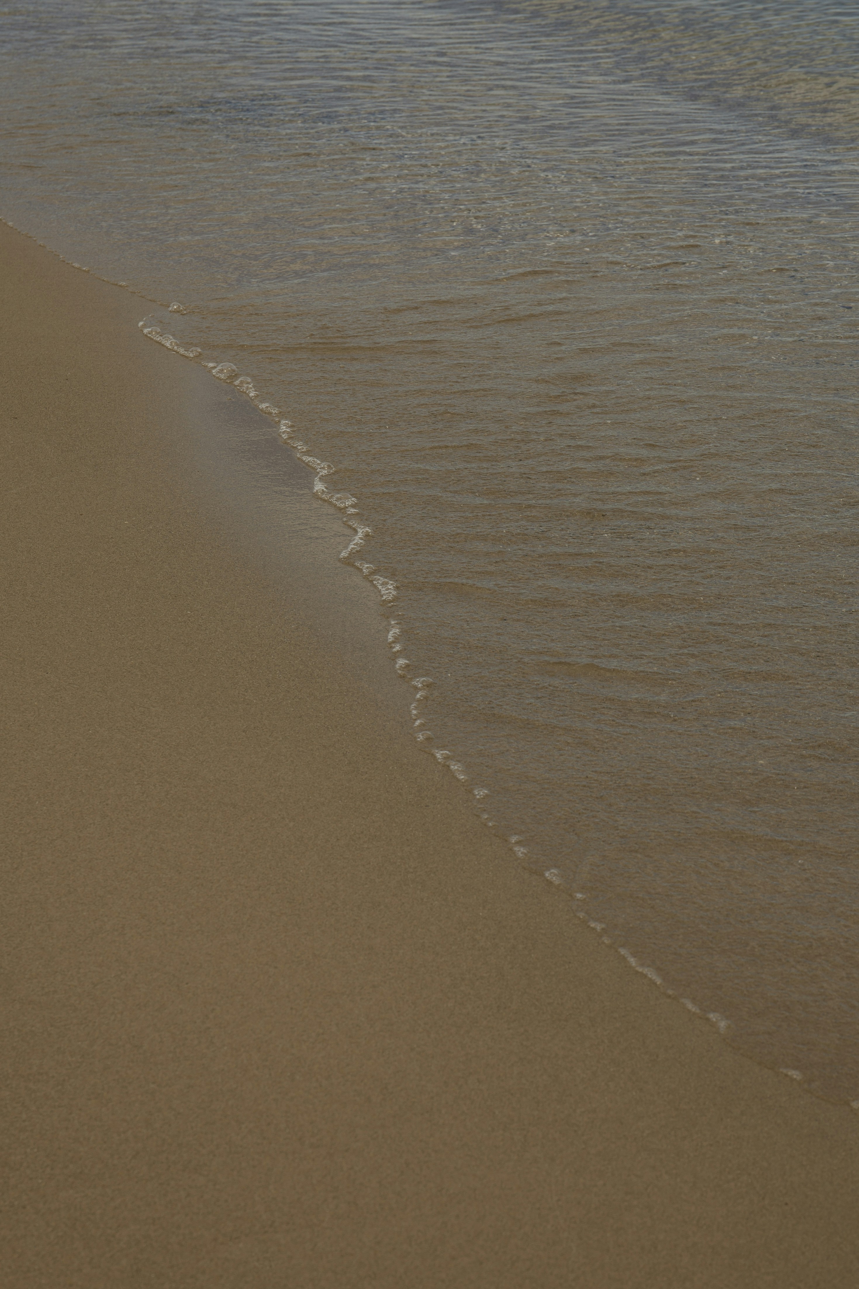 Photo by artbyhybrid