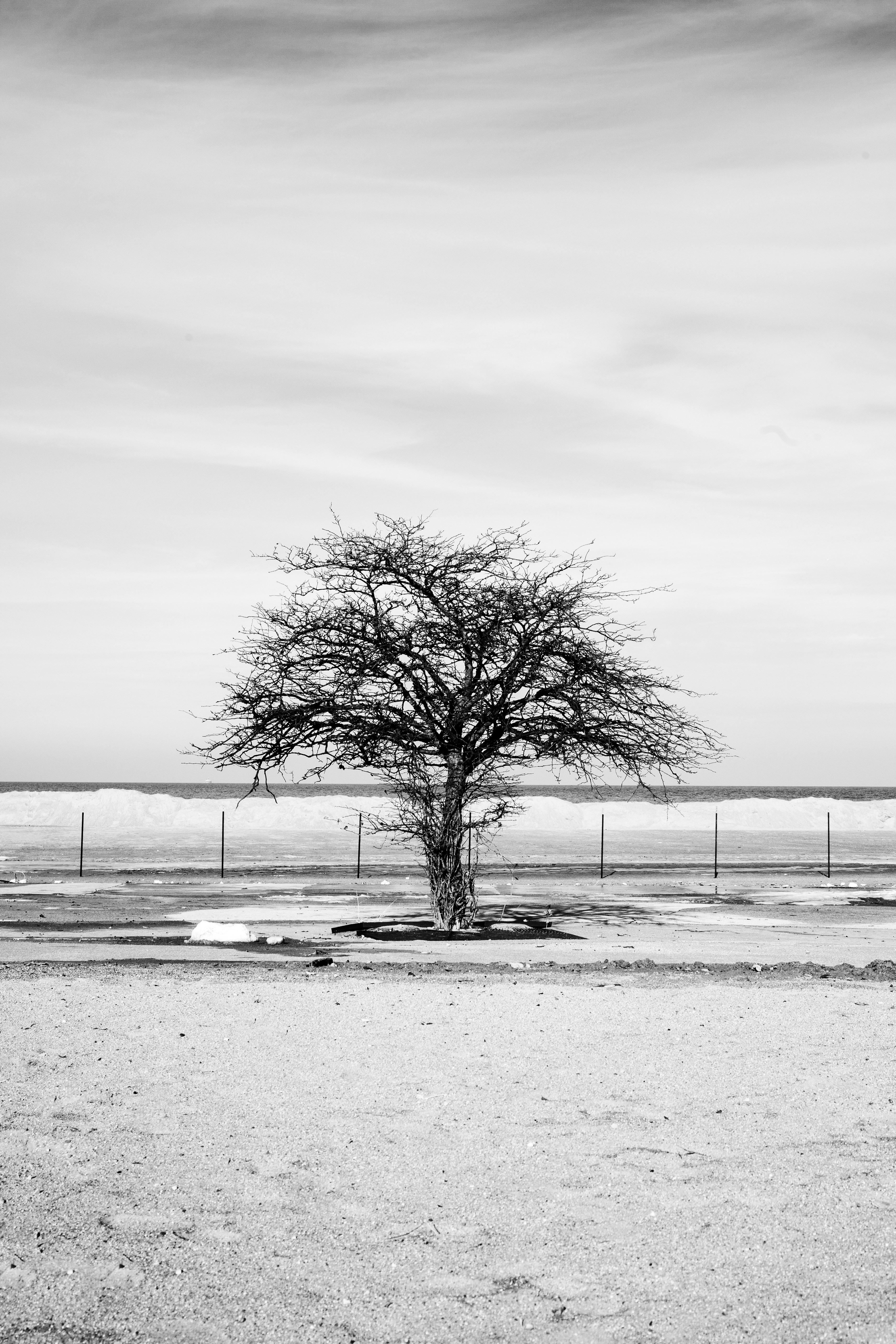 Photo by artbyhybrid