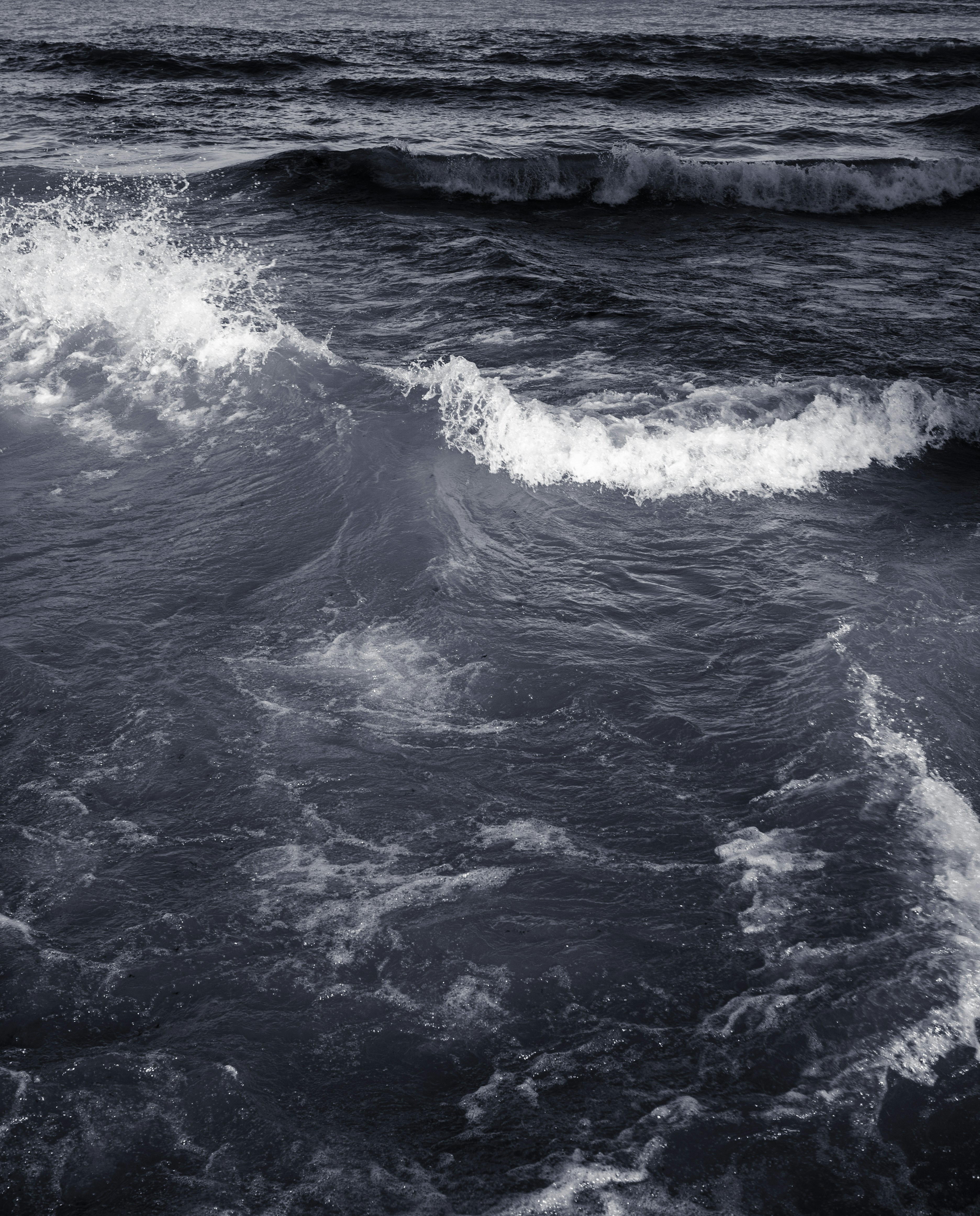 Photo by artbyhybrid