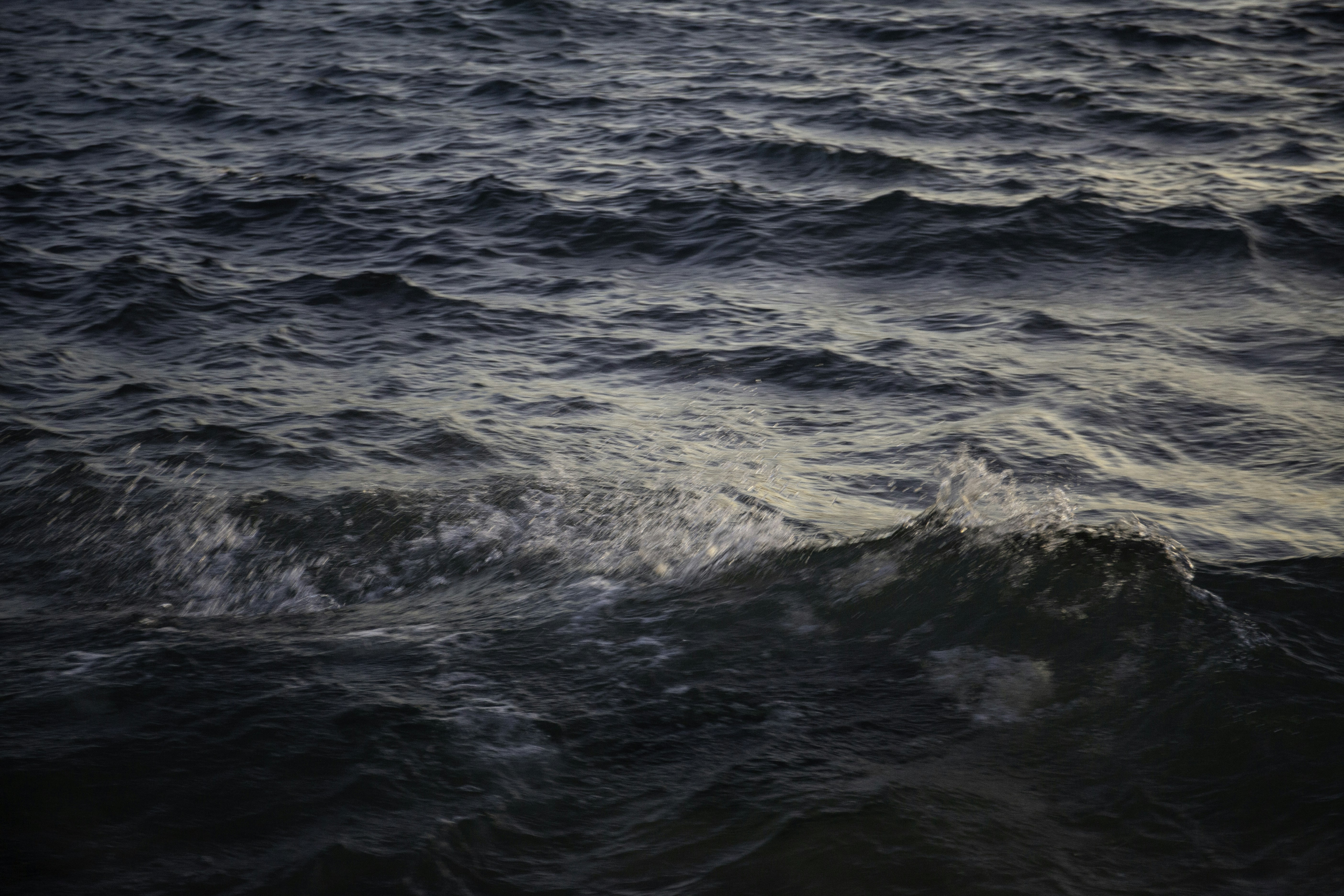 Photo by artbyhybrid