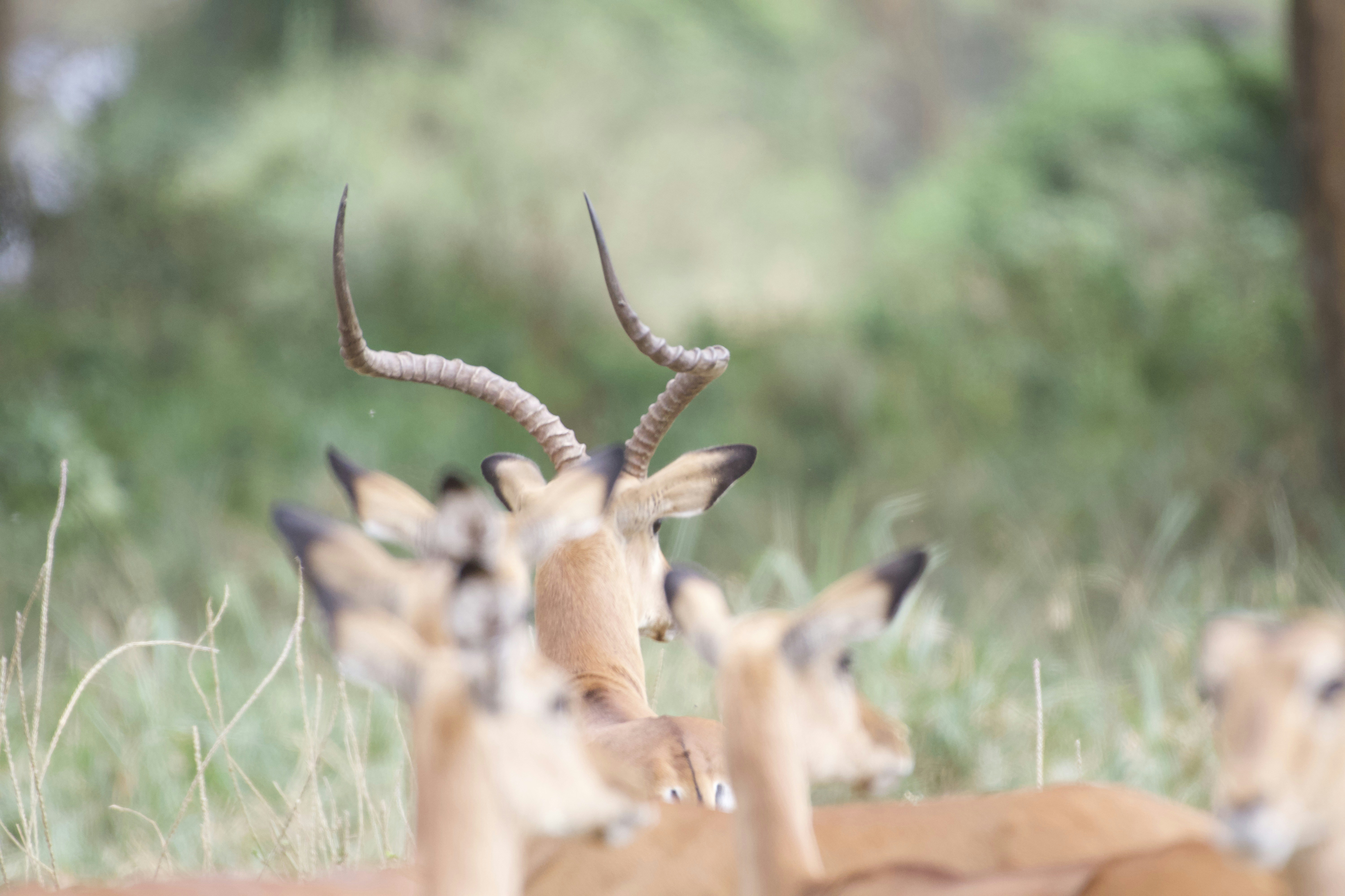 Photo by julius_ngigi