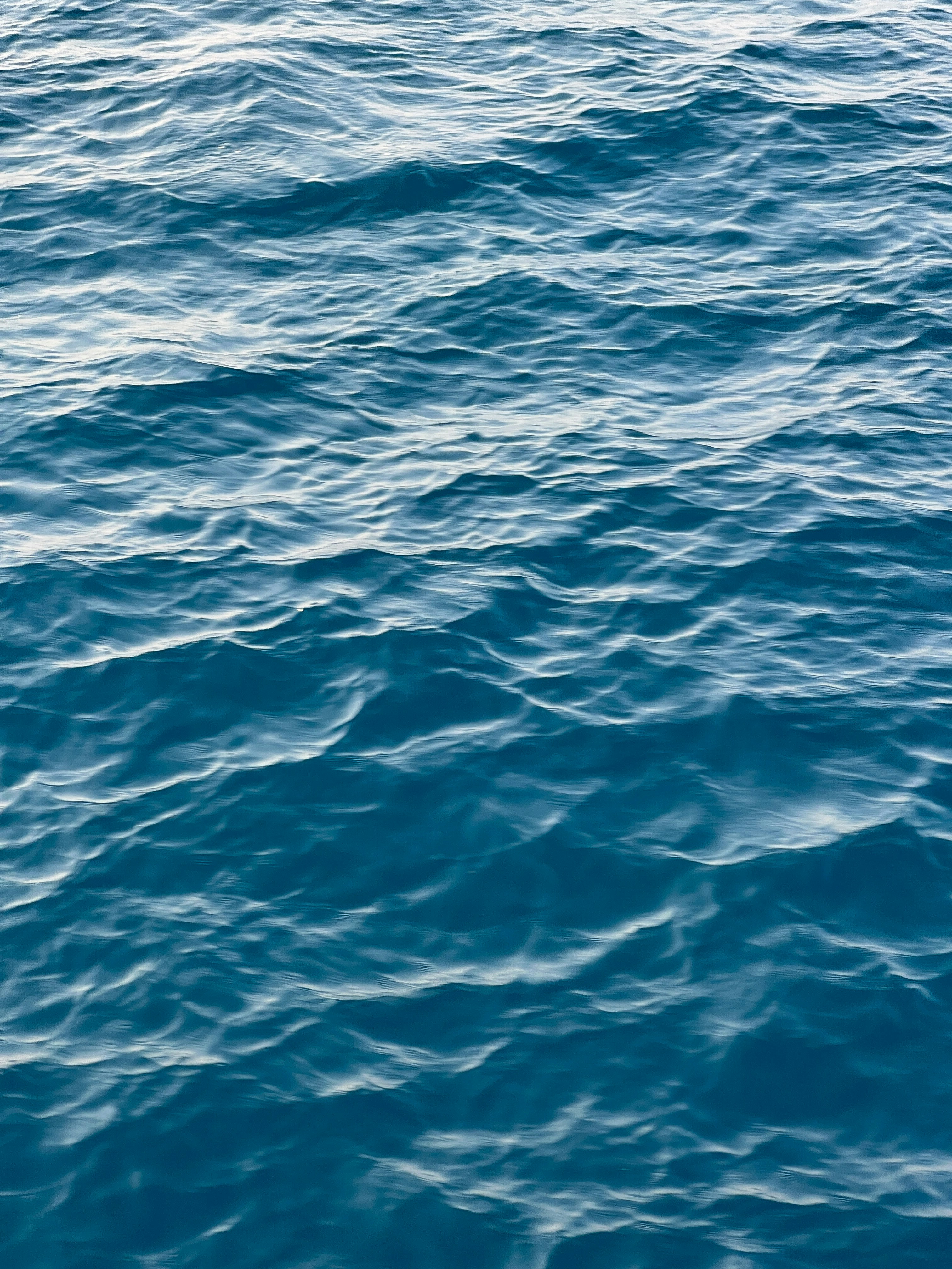 Photo by nemanjaraca