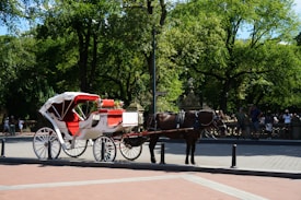 Photo 1677442951740 F6f3feef2028?q=85&w=275&h=275&fit=crop