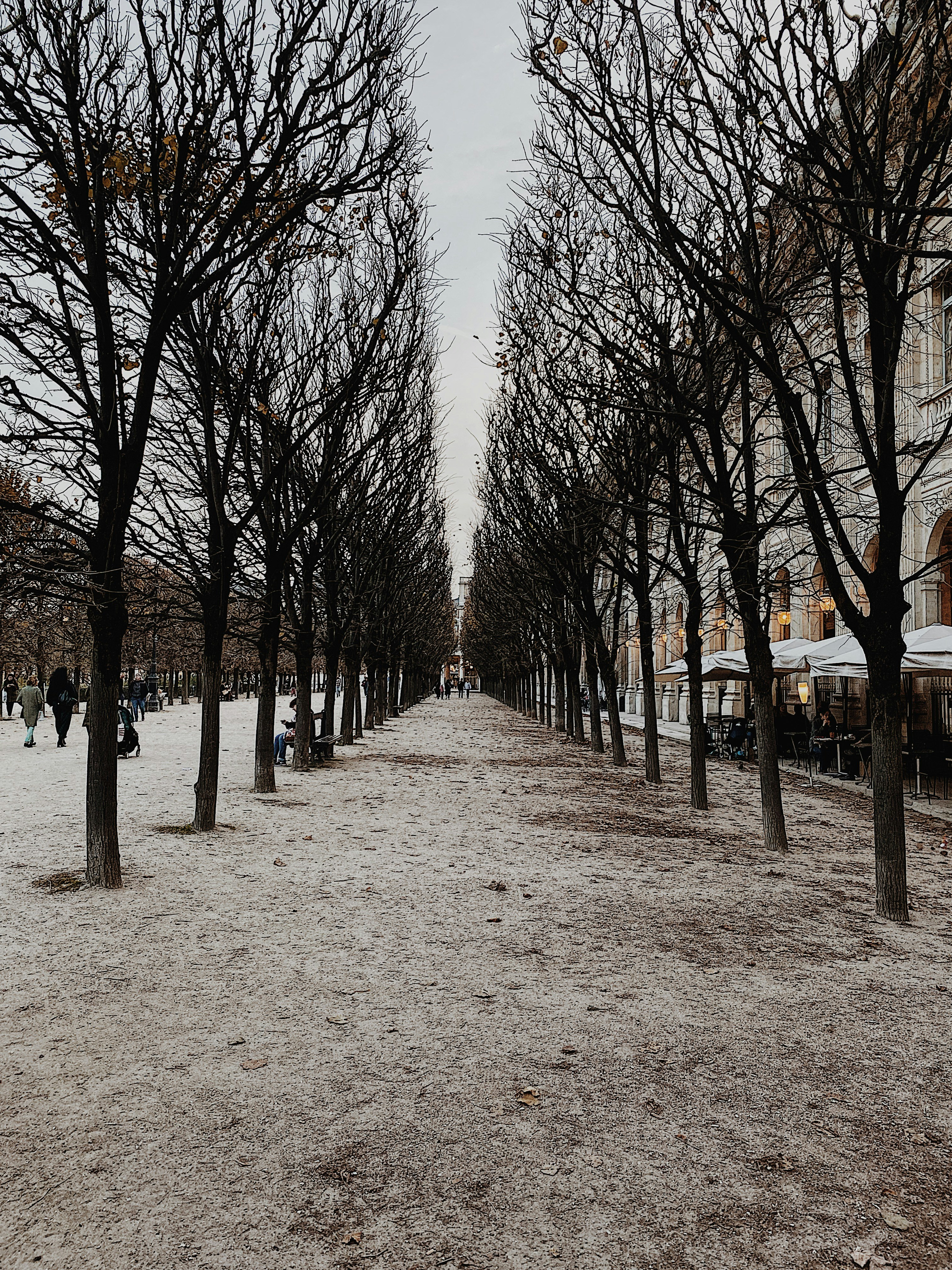 Photo by e_christensen