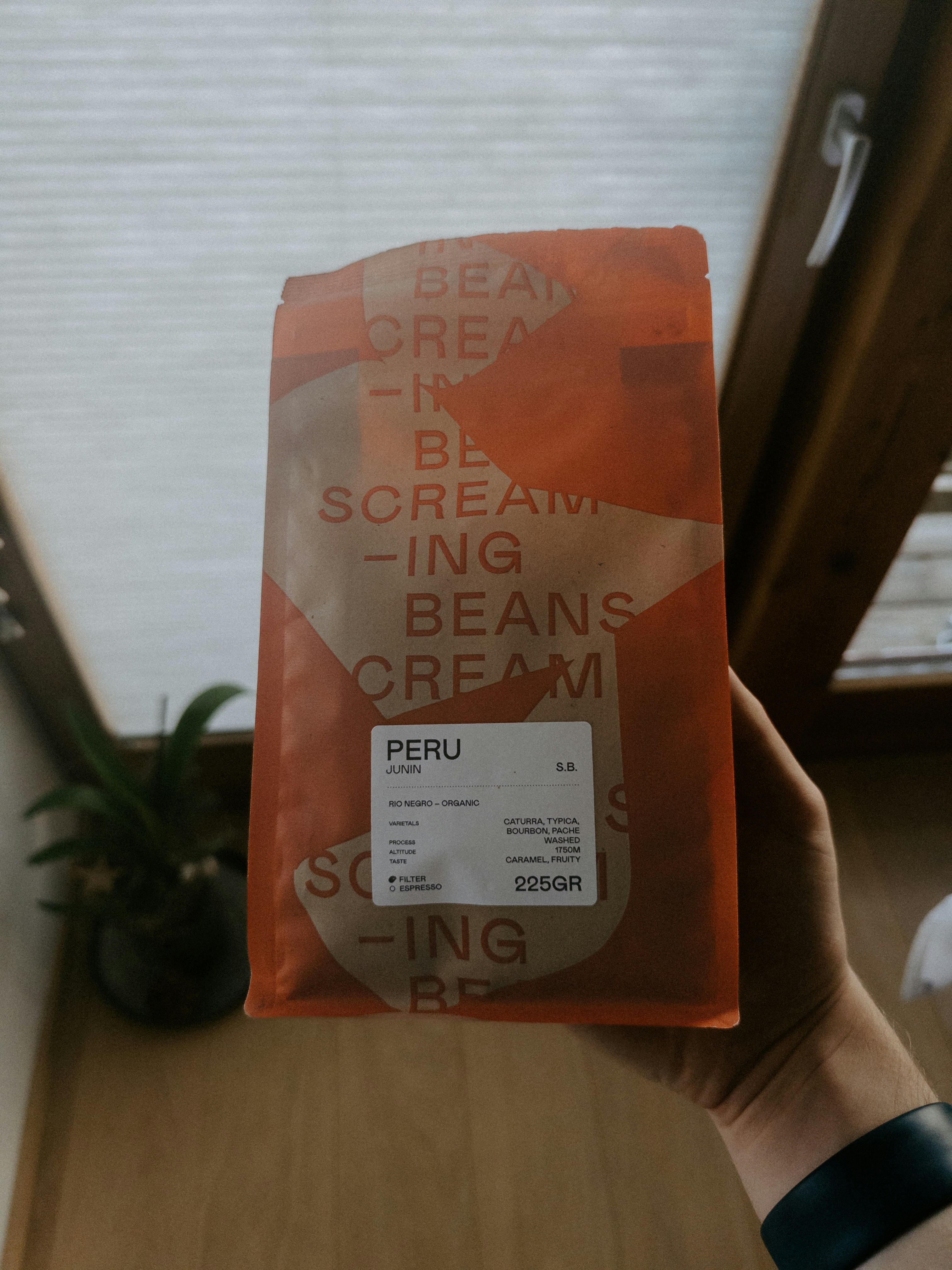 eine Person, die eine Tüte Eis hochhält