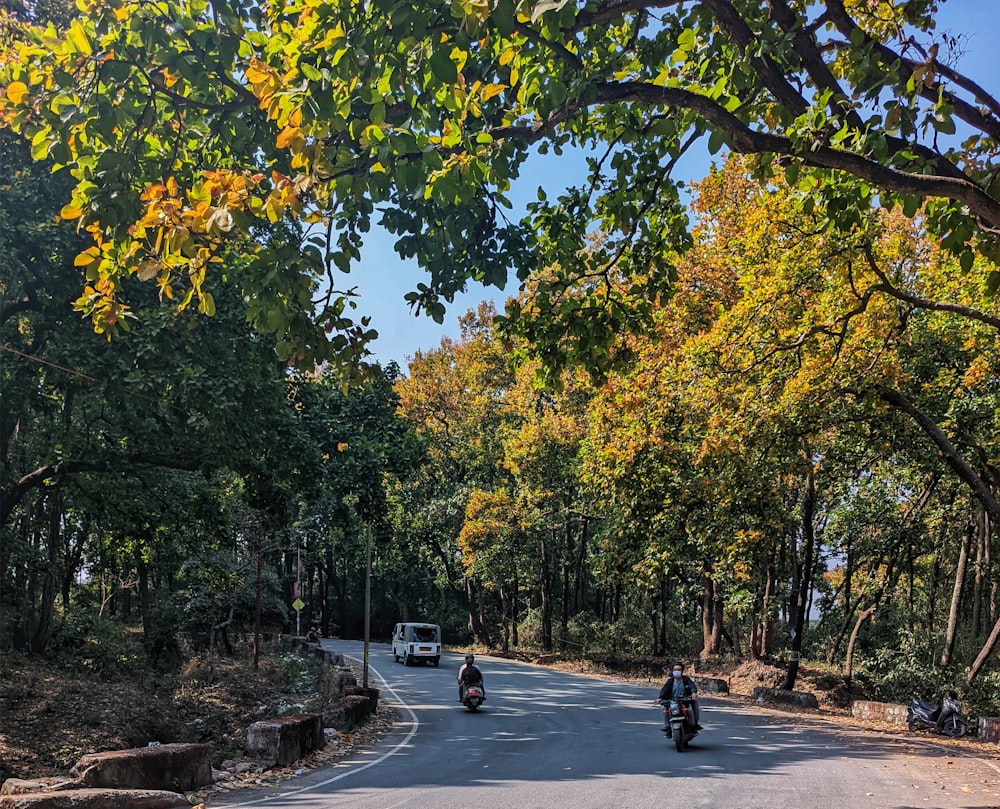 a couple of people riding motorcycles down a road