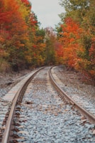 a train track in the middle of a forest