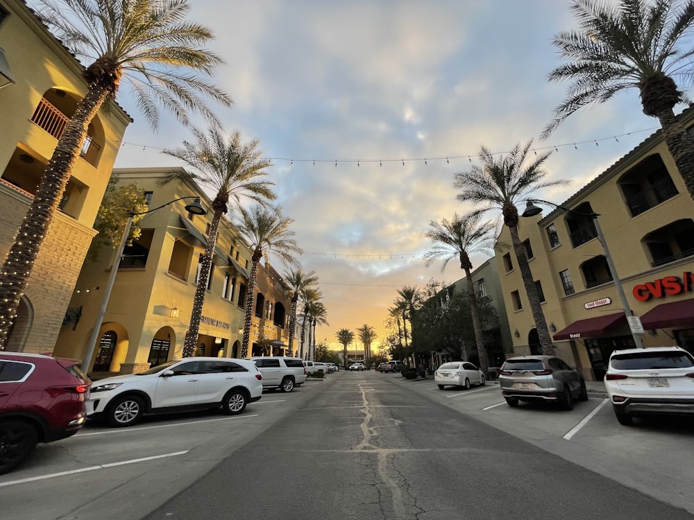 a street lined with parked cars and palm trees