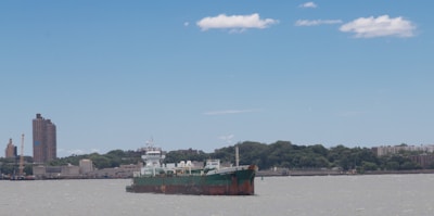 A large cargo ship is positioned on a body of water, with a shoreline featuring buildings and trees in the background. The sky is bright blue with some scattered white clouds, and the water reflects a similar sky color.