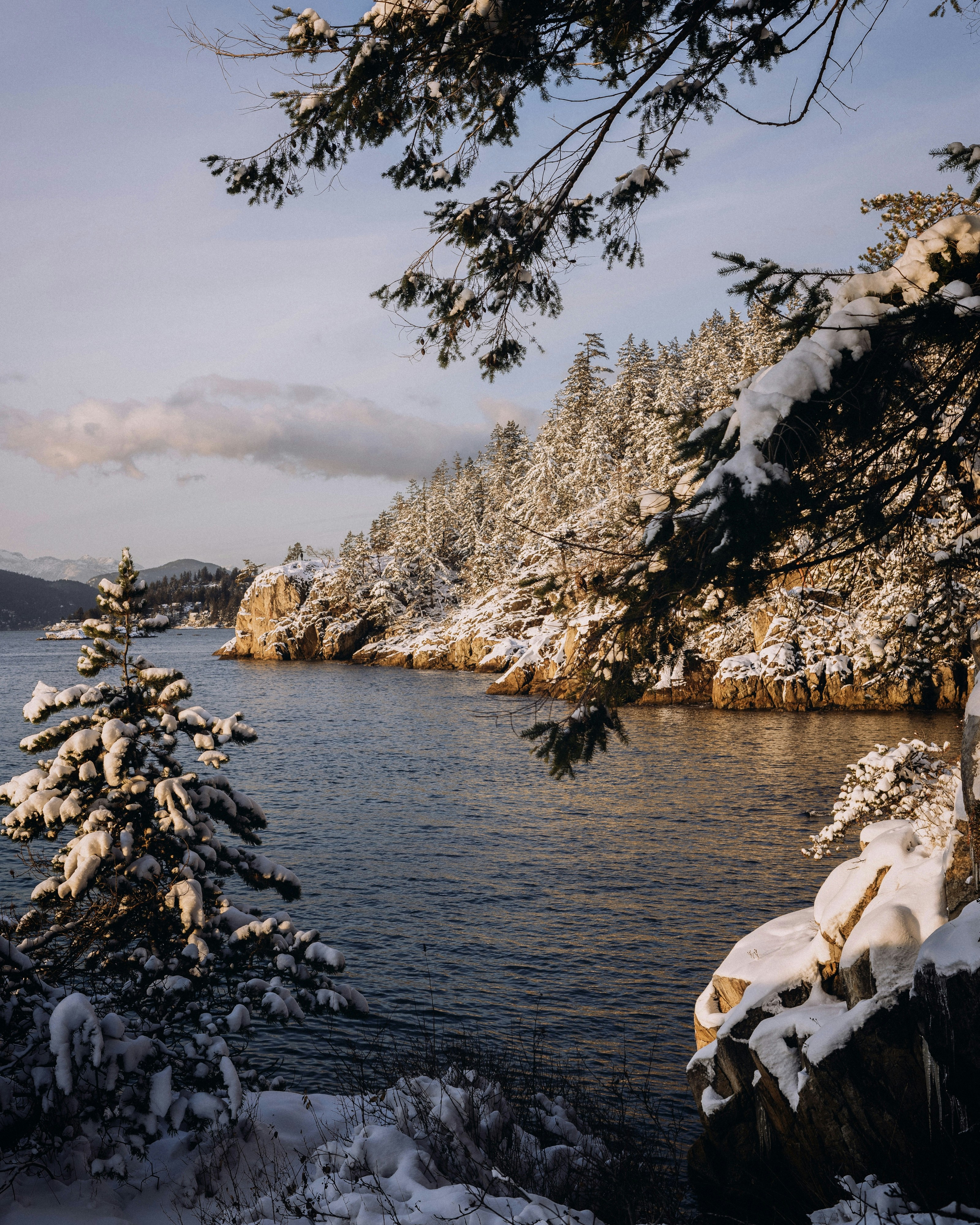 Photo by arianmontazeri