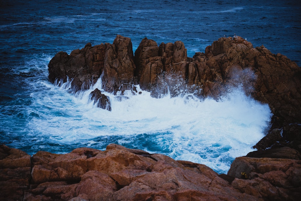 a large body of water next to a rocky shore