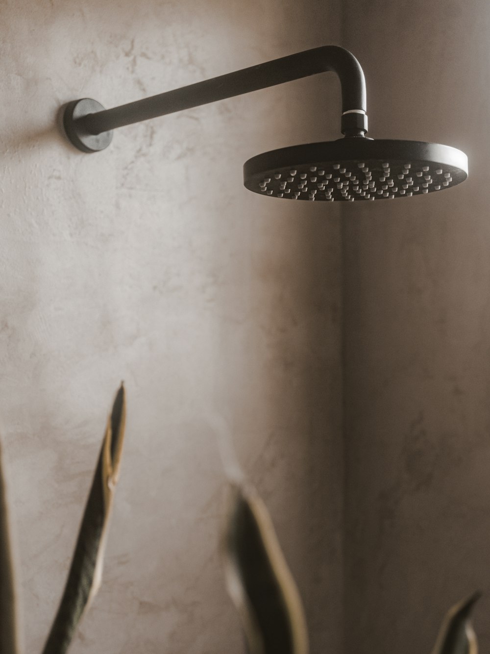 a shower head in a bathroom next to a plant